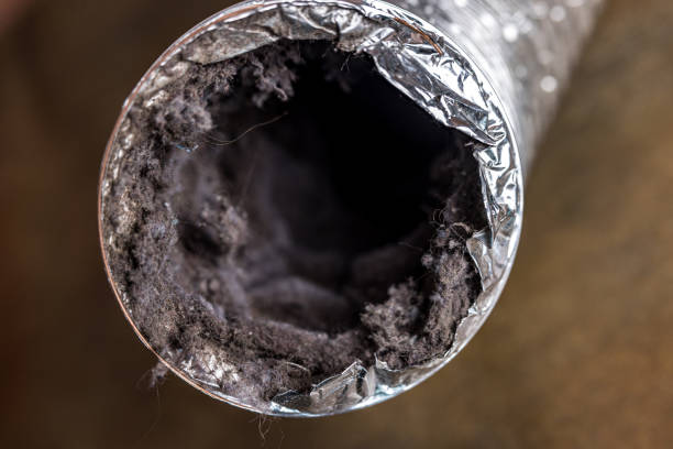 Best Ductwork Cleaning Services  in Ol, LA