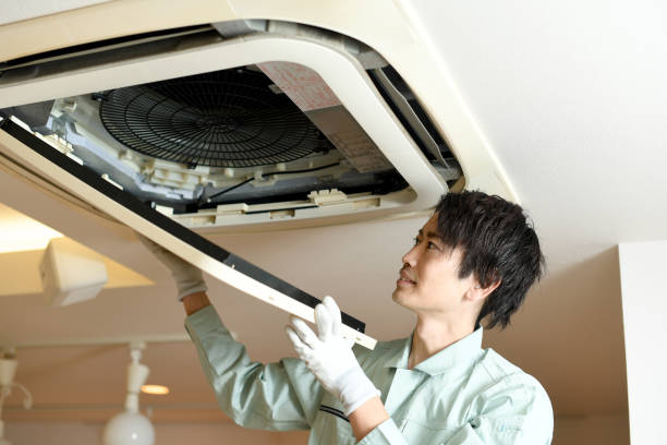 Best Local Air Duct Cleaning Services  in Ol, LA