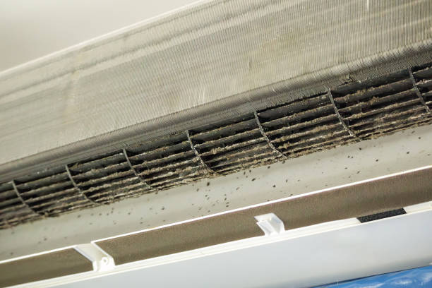 Best Air Duct Cleaning Near Me  in Ol, LA